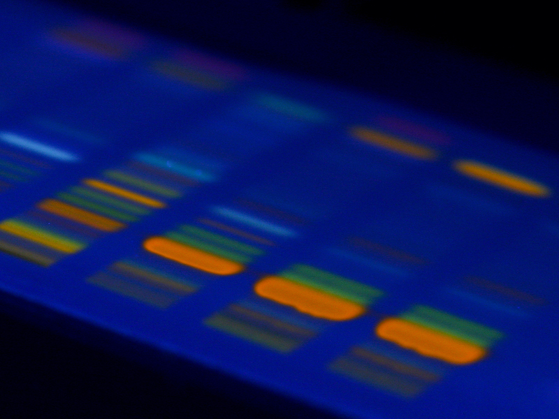 Einführung in die Chromatographie